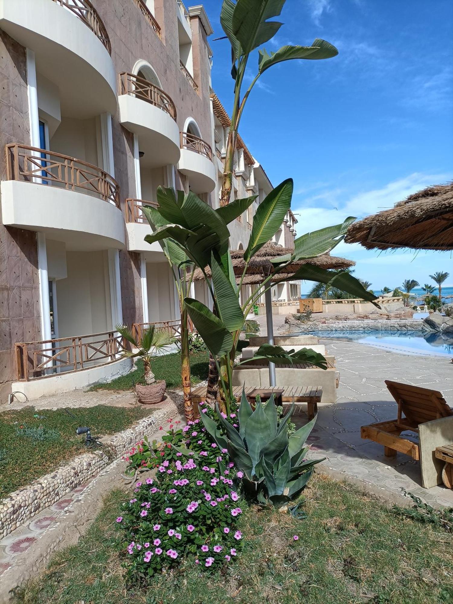 Tony'S Privy Beds By Red Sea Appartement Hurghada Buitenkant foto